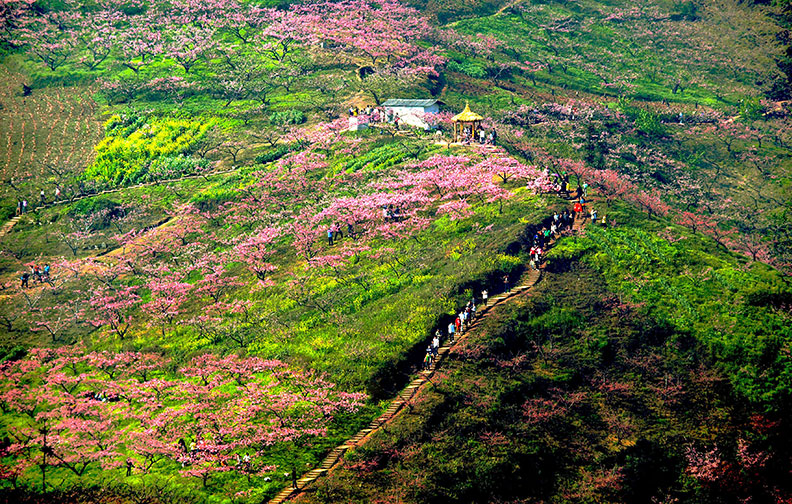 峨眉山鄉(xiāng)村旅游